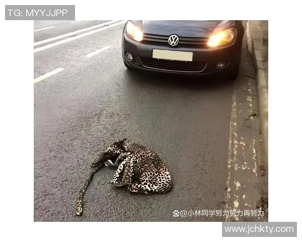 路考时遇到路中间遛狗的尴尬时刻 我竟然因为怕扣分不敢按喇叭